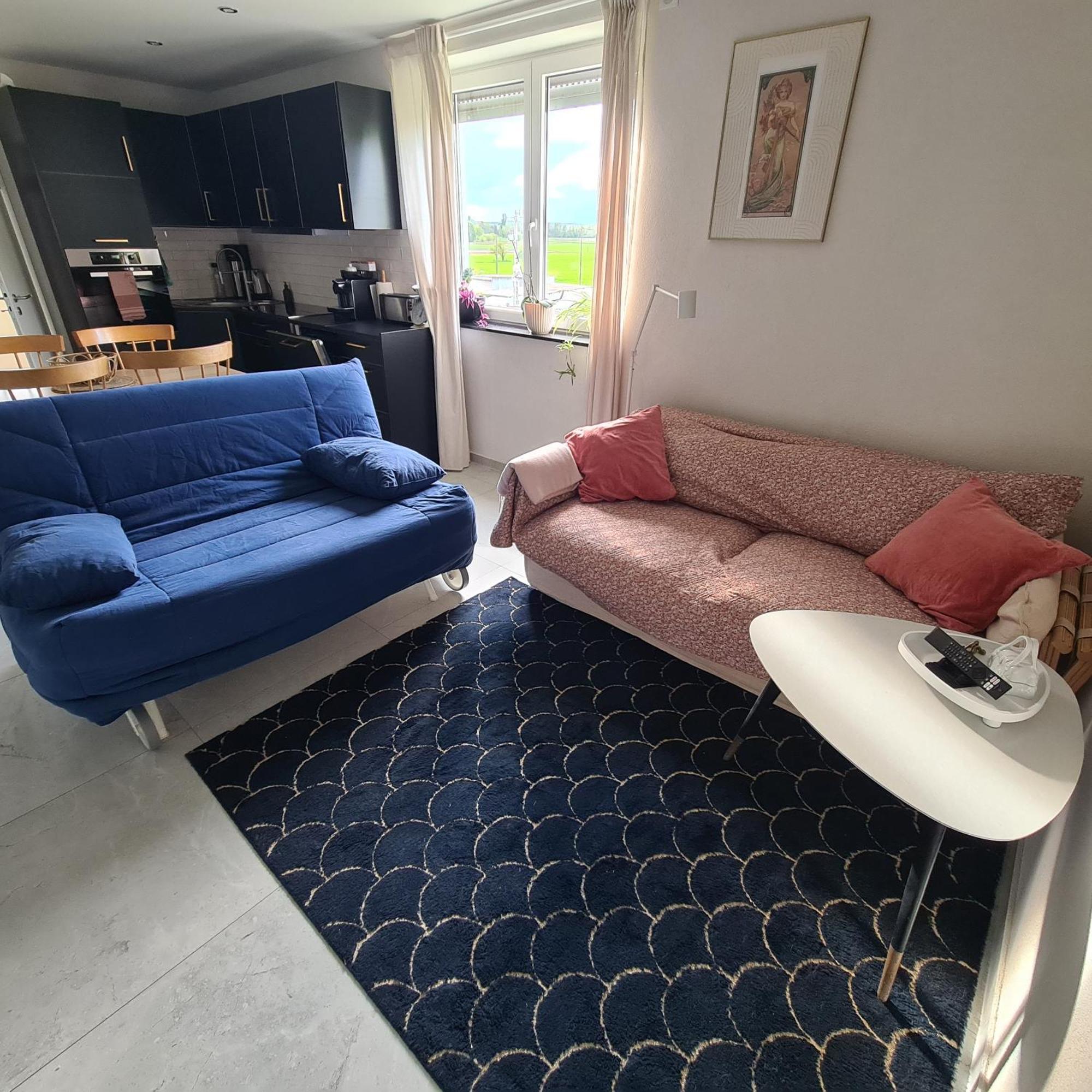 Le Loft De Village-Neuf - Residence 4 Etoiles Luaran gambar